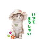 かわいい花帽子ネコの気軽に使えるスタンプ（個別スタンプ：19）