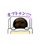 わんこたち〜！（個別スタンプ：11）