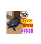 動く動物スタンプ 仕事用（個別スタンプ：1）