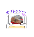 こあとあ（個別スタンプ：8）