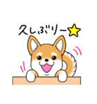 いつでも可愛い柴犬（個別スタンプ：3）