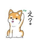 いつでも可愛い柴犬（個別スタンプ：5）