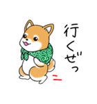 いつでも可愛い柴犬（個別スタンプ：15）