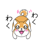 いつでも可愛い柴犬（個別スタンプ：17）