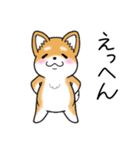 いつでも可愛い柴犬（個別スタンプ：27）