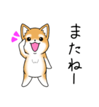 いつでも可愛い柴犬（個別スタンプ：29）