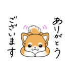 いつでも可愛い柴犬（個別スタンプ：38）