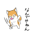 いつでも可愛い柴犬（個別スタンプ：39）