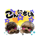 日常会話2（茶々＆寧々＆ハルミ）（個別スタンプ：3）