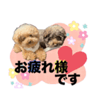 日常会話2（茶々＆寧々＆ハルミ）（個別スタンプ：4）