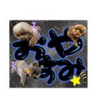 日常会話2（茶々＆寧々＆ハルミ）（個別スタンプ：5）