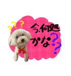 日常会話2（茶々＆寧々＆ハルミ）（個別スタンプ：6）