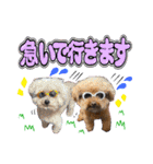 日常会話2（茶々＆寧々＆ハルミ）（個別スタンプ：7）