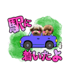 日常会話2（茶々＆寧々＆ハルミ）（個別スタンプ：9）