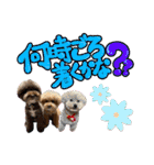 日常会話2（茶々＆寧々＆ハルミ）（個別スタンプ：12）