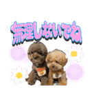 日常会話2（茶々＆寧々＆ハルミ）（個別スタンプ：13）
