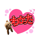 日常会話2（茶々＆寧々＆ハルミ）（個別スタンプ：16）