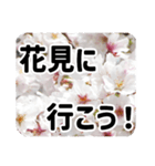 *花*桜 2（個別スタンプ：7）