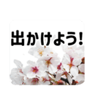 *花*桜 2（個別スタンプ：8）