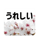 *花*桜 2（個別スタンプ：14）