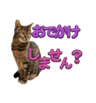 ルナルナスタンプ②（個別スタンプ：8）