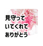 *花*カーネーション 母の日 2（個別スタンプ：11）