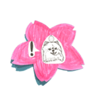 さくらとワンちゃんズ（個別スタンプ：3）