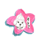 さくらとワンちゃんズ（個別スタンプ：4）