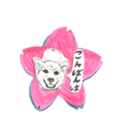 さくらとワンちゃんズ（個別スタンプ：7）