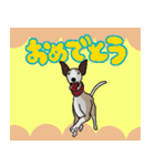 まるで人間ウィペットとときどき亀スタンプ（個別スタンプ：16）