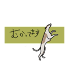 まるで人間ウィペットとときどき亀スタンプ（個別スタンプ：19）