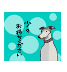 まるで人間ウィペットとときどき亀スタンプ（個別スタンプ：30）