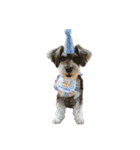 犬と話したい日は（個別スタンプ：24）