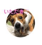 マイロ犬 その2（個別スタンプ：13）