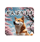 春と桜！敬語毎日使える柴犬さん2（個別スタンプ：35）