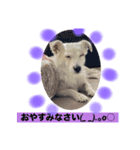 お気楽わんずマイミル編（個別スタンプ：2）