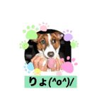 お気楽わんずマイミル編（個別スタンプ：4）