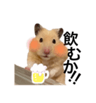ハムちゃんはかわいい。（個別スタンプ：16）