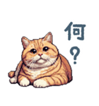 ぽっちゃり猫【日常会話・かわいい・猫】（個別スタンプ：5）