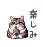 ぽっちゃり猫【日常会話・かわいい・猫】（個別スタンプ：6）