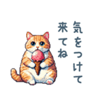 ぽっちゃり猫【日常会話・かわいい・猫】（個別スタンプ：10）