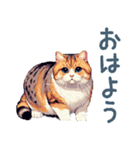 ぽっちゃり猫【日常会話・かわいい・猫】（個別スタンプ：12）