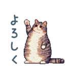 ぽっちゃり猫【日常会話・かわいい・猫】（個別スタンプ：20）