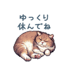 ぽっちゃり猫【日常会話・かわいい・猫】（個別スタンプ：25）