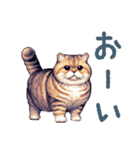 ぽっちゃり猫【日常会話・かわいい・猫】（個別スタンプ：28）