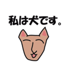 私は犬ですか？（個別スタンプ：12）