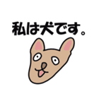 私は犬ですか？（個別スタンプ：23）