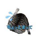Ti-Ni-Zu（個別スタンプ：3）