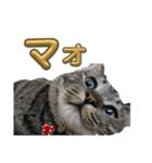 Ti-Ni-Zu（個別スタンプ：7）