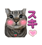 Ti-Ni-Zu（個別スタンプ：8）